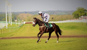 Lillian strikes again.