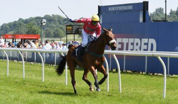 Going out on a winner